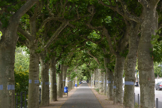 Photograph of city, empty, footpath.
