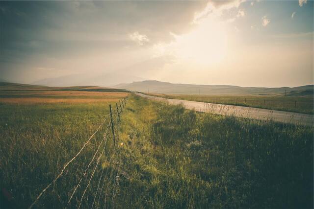 Photograph of fields, grass, landscape.