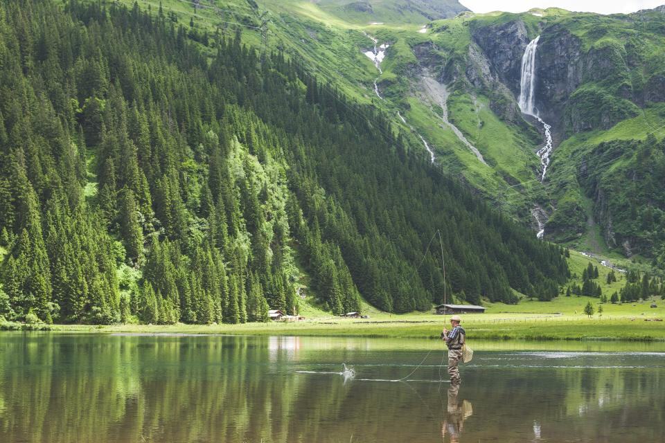 Photograph of alone, fishing, forest.